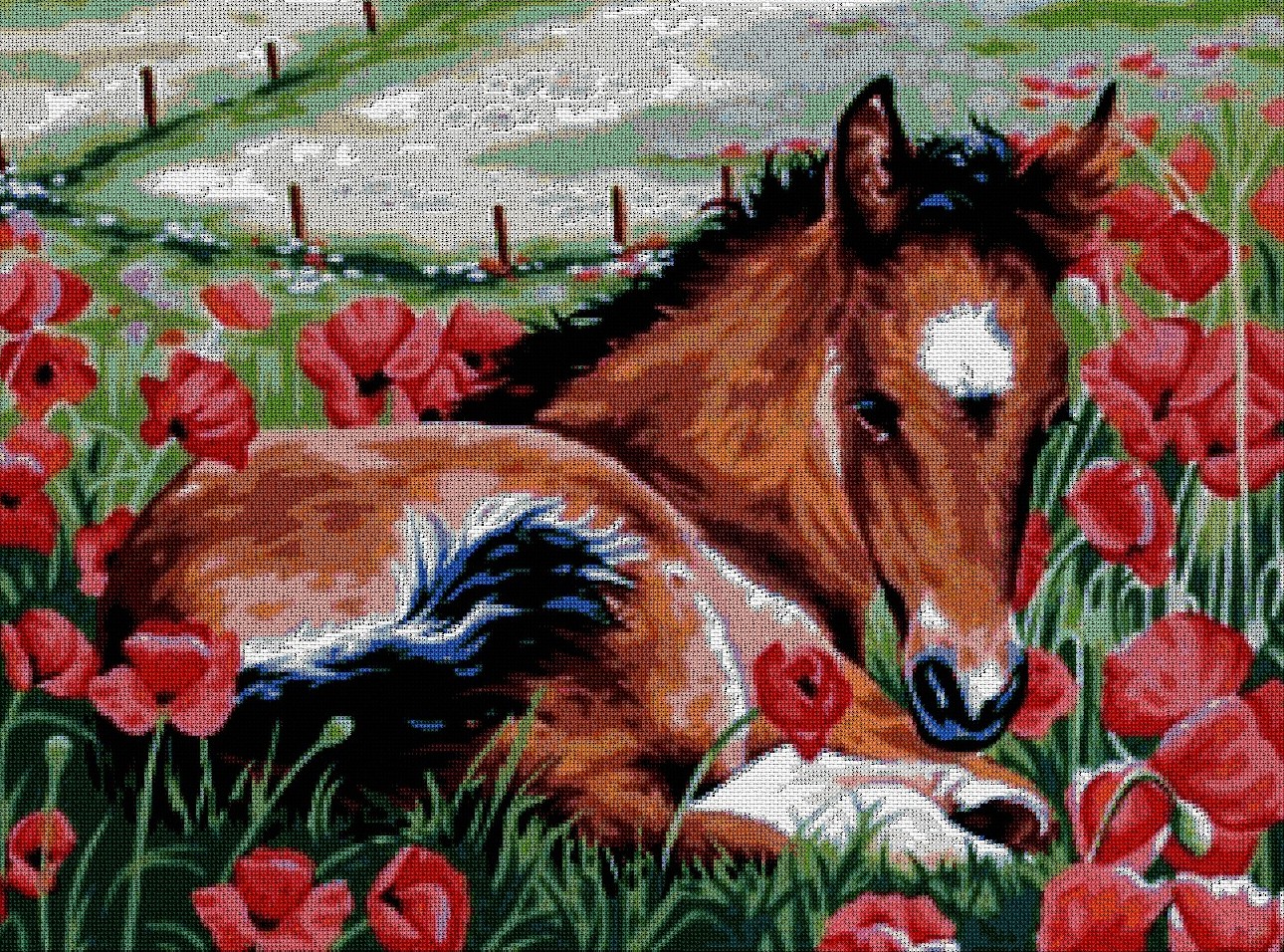 ANIPOT: Gráfico de punto de cruz para descargar en PDF, imprimir y bordar potrillo entre amapolas