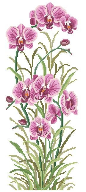 ORCHID-1: bordado a punto de cruz de orquídea rosada