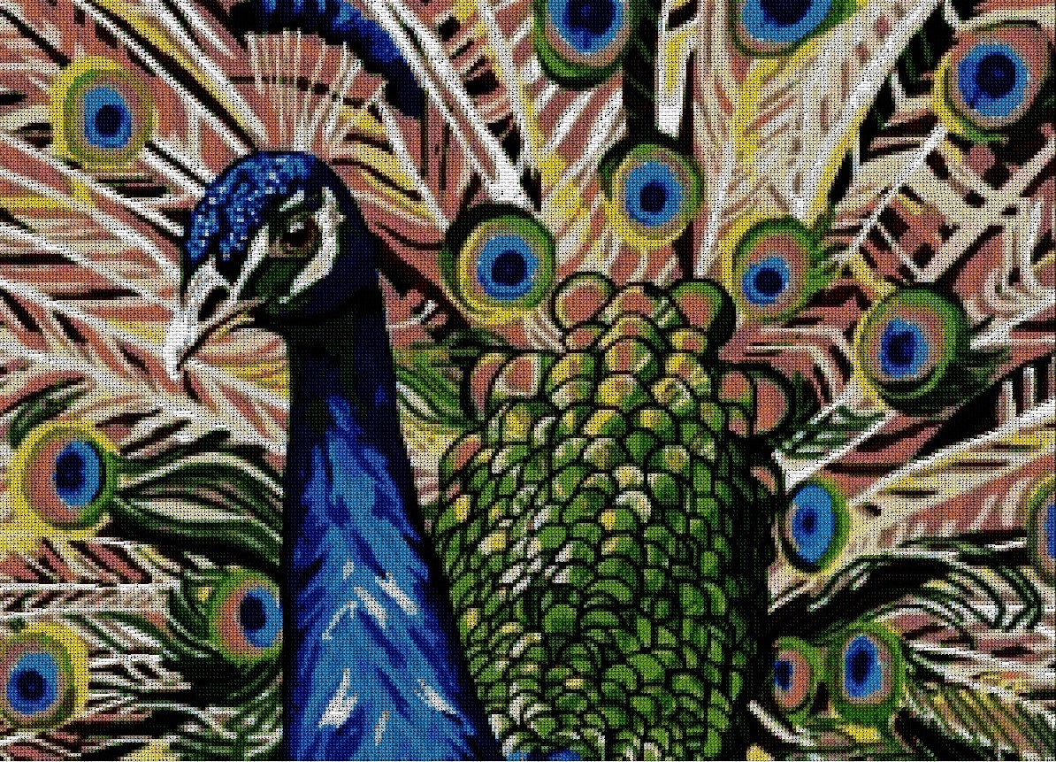 PAVOREAL: gráfico de punto de cruz para bordar pavo real