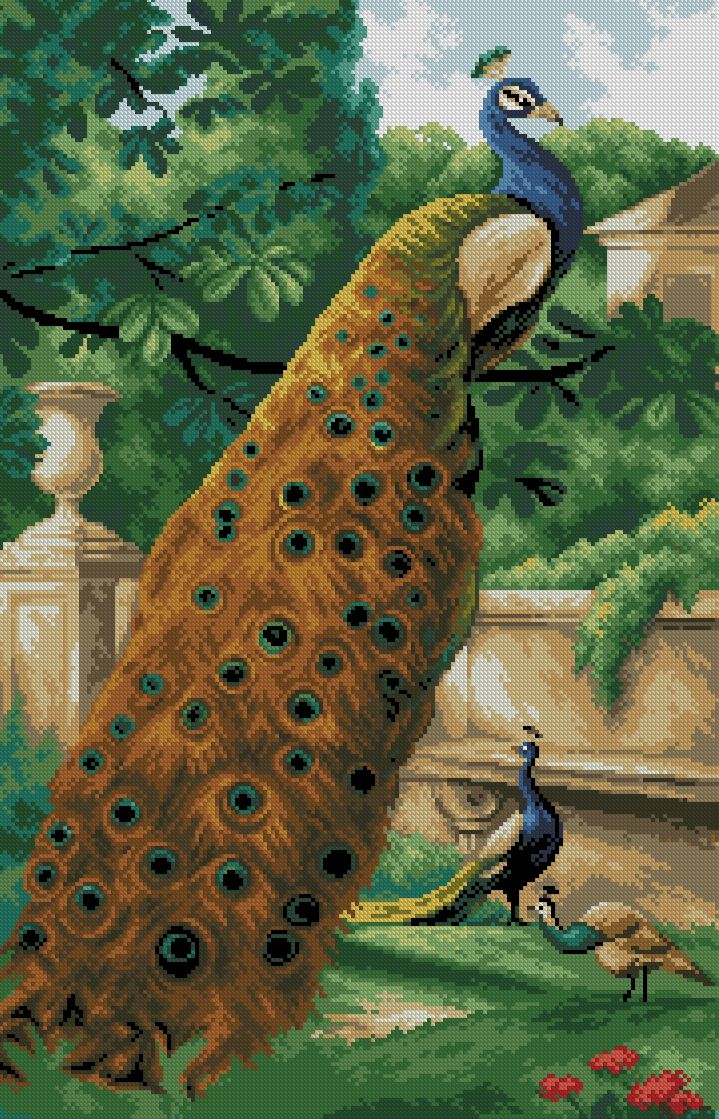PEACOCK-5: Gráfico de punto de cruz para descargar en PDF, imprimir y bordar dibujo de pavos reales